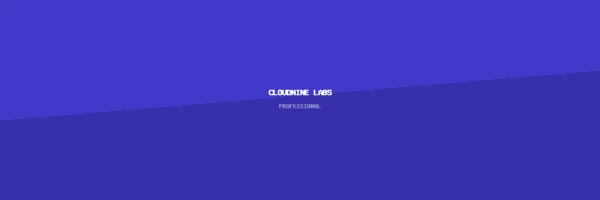 CloudNine Labs mini-site preview
